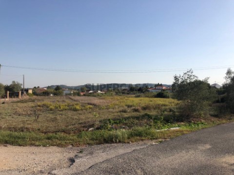 Terreno com Viabilidade de Construção Tagarro-Alcoentre