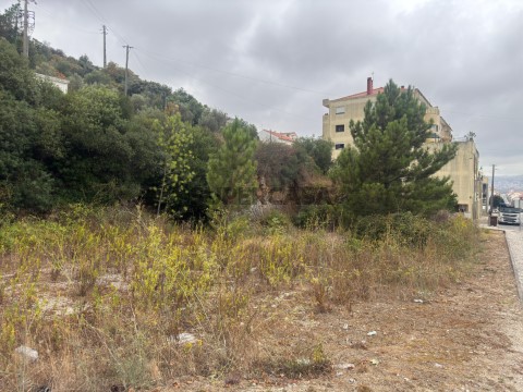 Terreno - Alcanena ***RIOMAGIC***