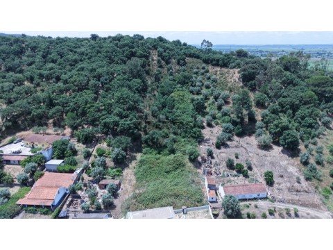 Lote no Pinheiro Grande***RIOMAGIC***