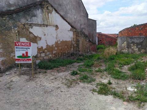 Terreno