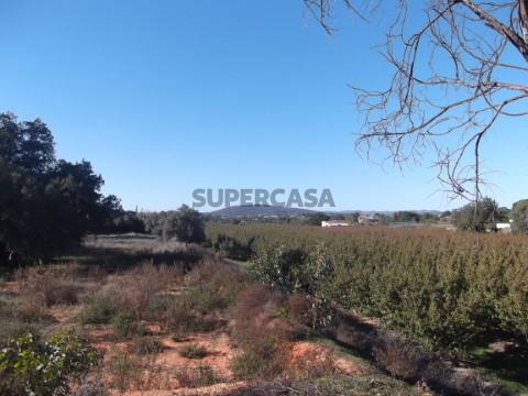 Terreno+ Ruina da Murteira
