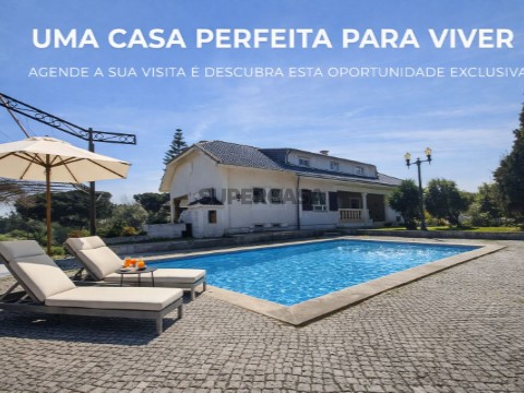 19aa83cc-b0e9-4f3f-a9d9-f0da0310fc36