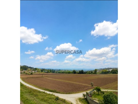 Screenshot_20260514_150145_ChatGPT