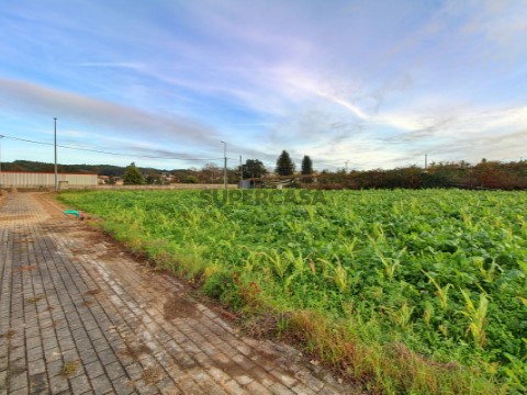 Lote em Guilhabreu, Vila do Conde