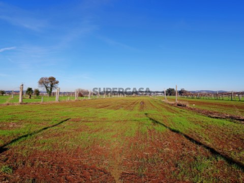 农村土地 在 Bougado (São Martinho e Santiago), Trofa