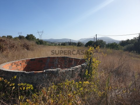 Terreno na Batalha, Batalha