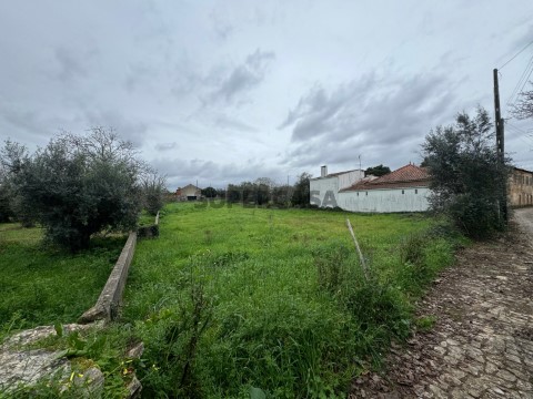 Terreno