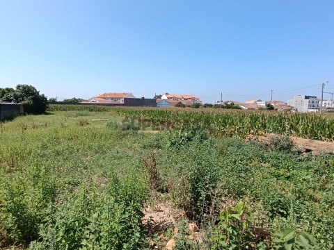 Terreno