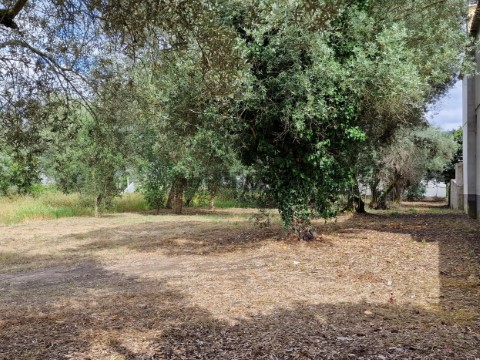 Terreno