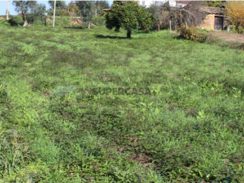 Terreno