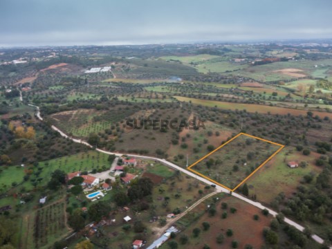 Vistas
