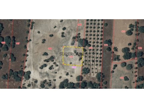 Terreno em Monsaraz, Reguengos de Monsaraz