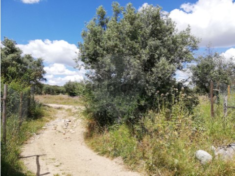 Grundstück auf Corval, Reguengos de Monsaraz