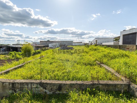 Terreno em Santiago do Escoural, Montemor-o-Novo