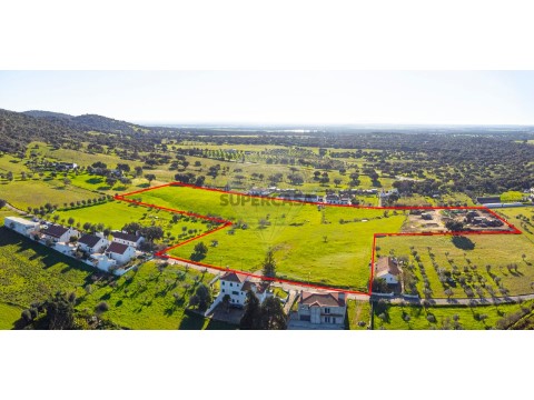 Terreno em Santiago do Escoural, Montemor-o-Novo