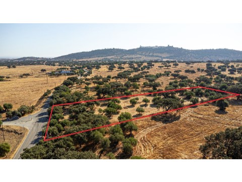 Terreno em Monsaraz, Reguengos de Monsaraz