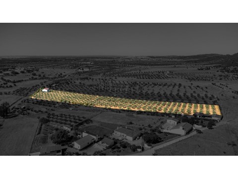 Terreno em Monsaraz, Reguengos de Monsaraz