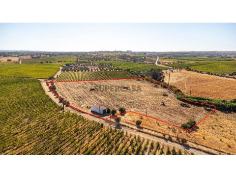 Terreno em Reguengos de Monsaraz, Reguengos de Monsaraz