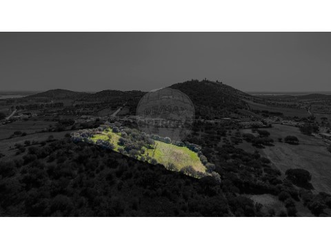 Terreno em Monsaraz, Reguengos de Monsaraz