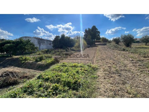 Terreno em Cidade de Santarém, Santarém