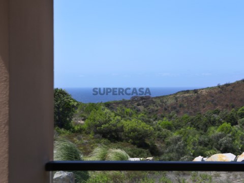 Vista