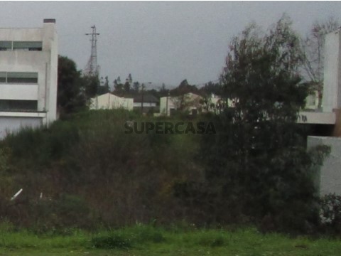 Lote 33