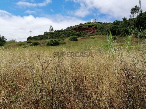 Terreno