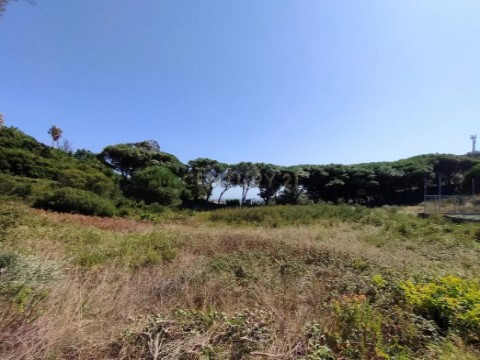 城市土地 在 Alcabideche, Cascais