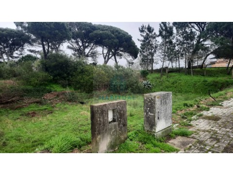 Lote em Darque, Viana do Castelo