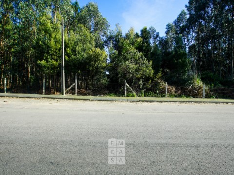 Terreno Urbanizável em São João de Ver, Santa Maria da Feira