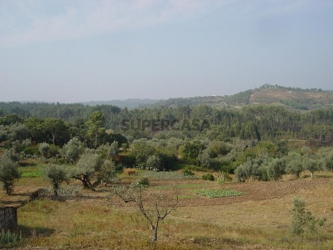 Terreno em Lamas, Miranda do Corvo