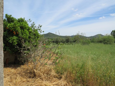 Terreno em São Miguel, Santa Eufémia e Rabaçal, Penela
