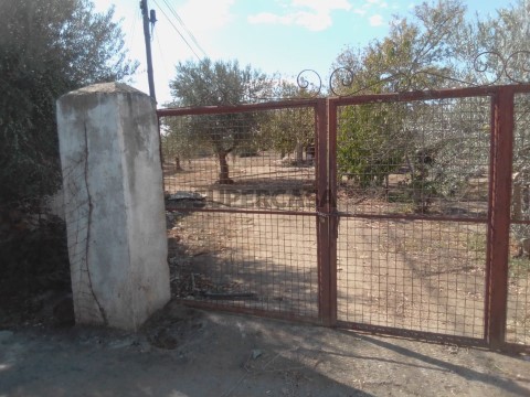 QUINTINHA URBANA NO ALENTEJO!