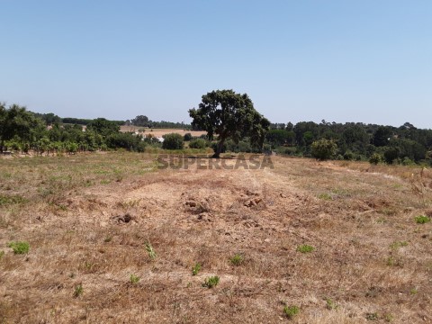 Casal das Areias / Pontével