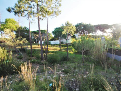 Terreno em Almancil, Loulé