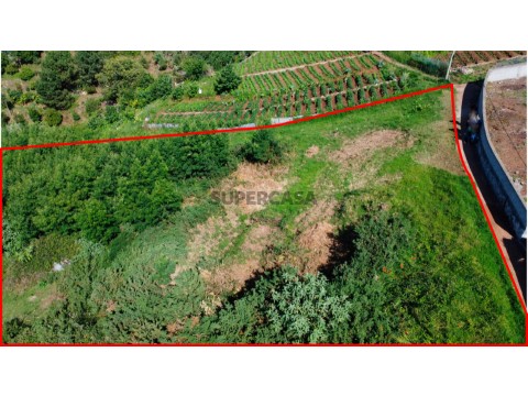 Terreno em Caminho do Trapiche, Santo António