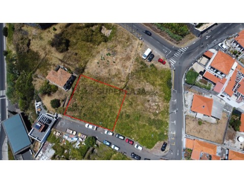 Lote7