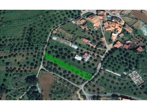 Imagem Google 1