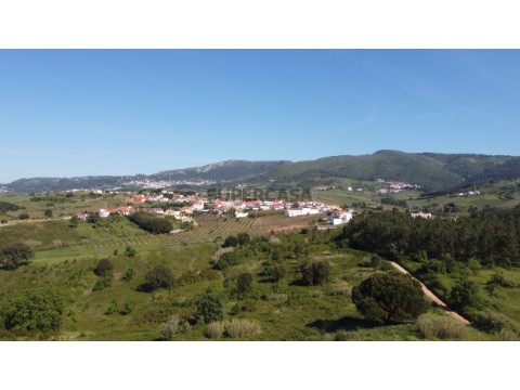 DJI_0489