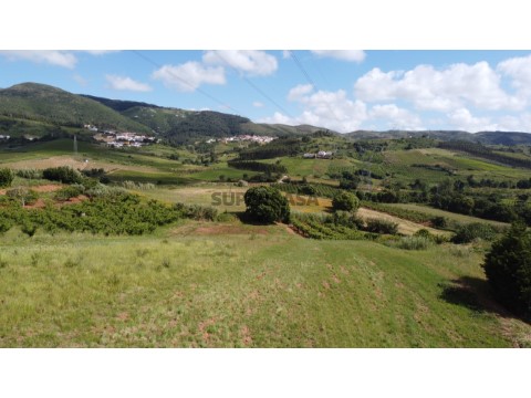 DJI_0522