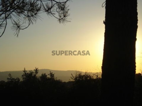 Venda-Terreno-5.4ha-Borba-Alentejo-Cluttons