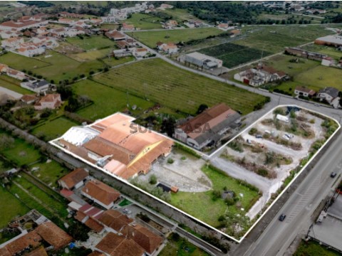A1 delimitada