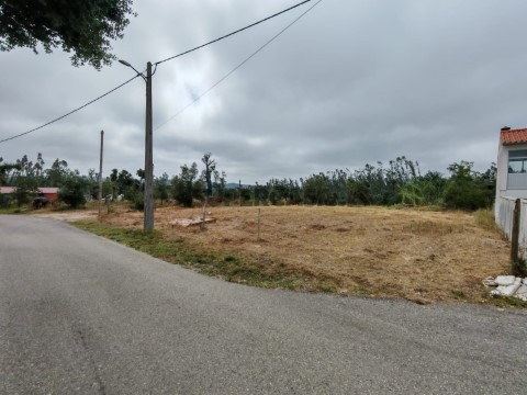 Terreno na Rua do Carvalhal, Monte Real e Carvide