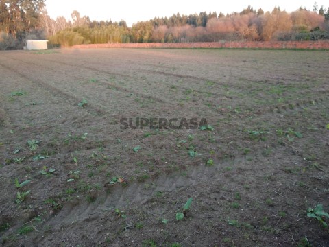 Largura