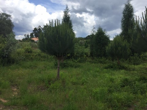 Quinta Agrícola