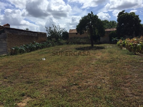Terreno em Amoreira da Gândara, Paredes do Bairro e Ancas, Anadia