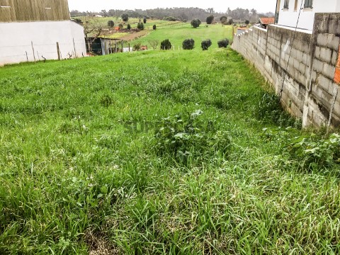 Terreno em Fermentelos, Águeda