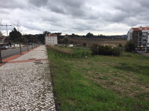 Suelo edificable en Oliveira do Bairro, Oliveira do Bairro