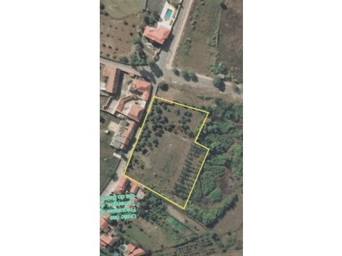 Quinta Rural em Tamengos, Aguim e Óis do Bairro, Anadia