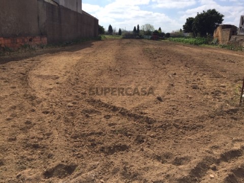 Terreno na Rua do Agueiro, Amoreira da Gândara, Paredes do Bairro e Ancas